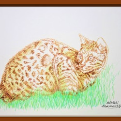 ガラスペン画　デッサン　一点物　猫　CAT BENGAL　スケッチブック182㎜×275㎜　水性インク 2枚目の画像