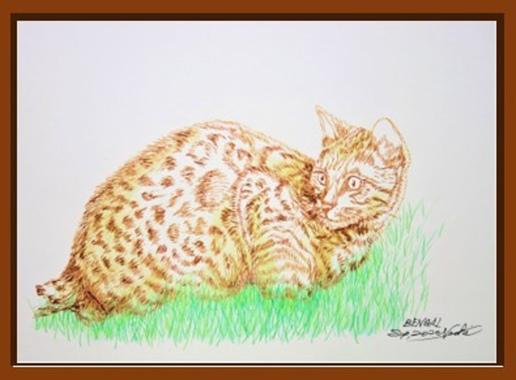 ガラスペン画　デッサン　一点物　猫　CAT BENGAL　スケッチブック182㎜×275㎜　水性インク 2枚目の画像