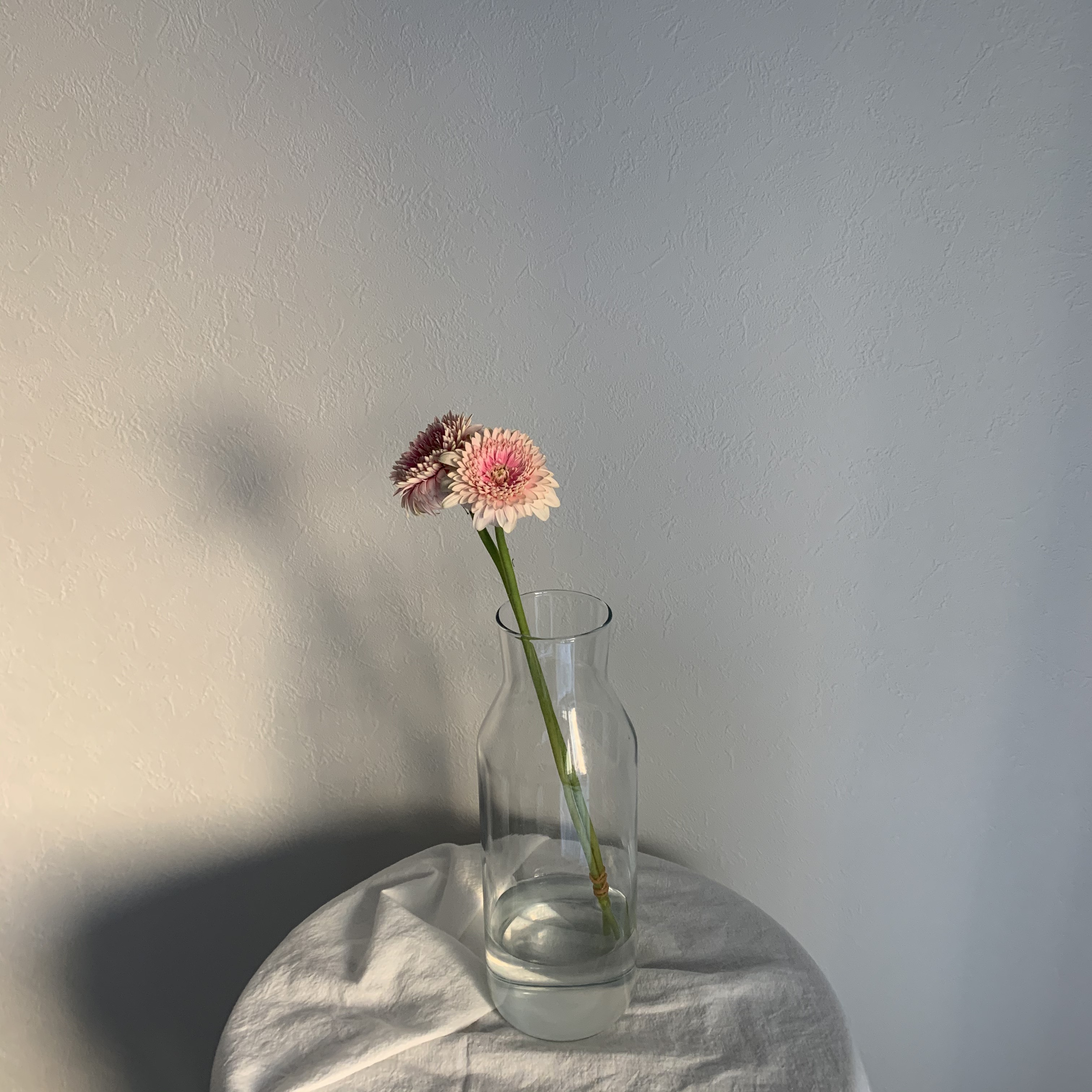 ご購入前に必ずお読みください