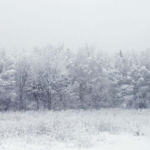 北海道芦別市の風景 A4写真プリント ガラス入り額装 ～雪のライン～ 北海道 真っ白な雪の景色』 A4サイズ ウッドフレーム額装写真