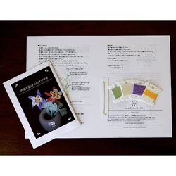 【イーネオヤキット】内巻き距(きょ)のオダマキ 2枚目の画像