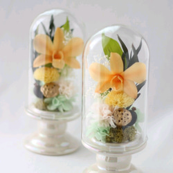 《受注生産品》ガラスドーム仏花（イエローカラー）　プリザーブドフラワー使用 3枚目の画像