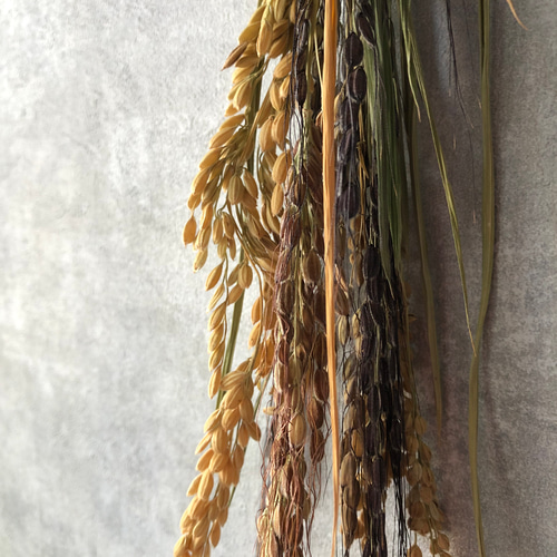 山形県の古代米お正月飾り2026【一点につき送料¥180】 しめ縄