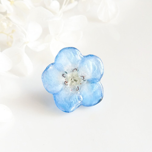 受注制作】Baby blue eyes. 本物のお花 ネモフィラのドライフラワーの