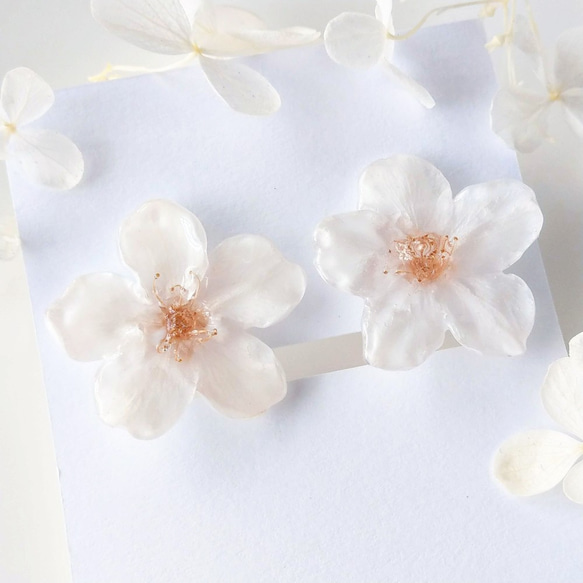 【受注制作】Everpink Sakura. 本物のお花　桜のイヤリング　ソメイヨシノ　シンプル　プリザーブドフラワー 3枚目の画像