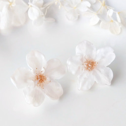 【受注制作】Everpink Sakura. 本物のお花　桜のイヤリング　ソメイヨシノ　シンプル　プリザーブドフラワー 8枚目の画像