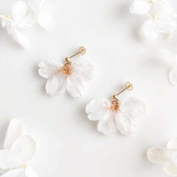 受注制作】Everpink Sakura. 本物のお花 桜の揺れる半月ブーケピアス 