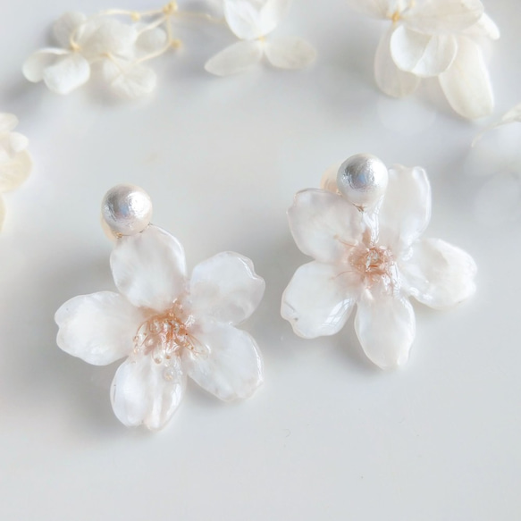 【受注制作】Everpink Sakura. 本物のお花　桜とコットンパールのアシンメトリー　クリップイヤリング/耳飾り 2枚目の画像