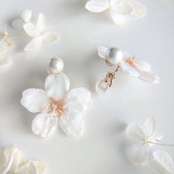 【受注制作】Everpink Sakura. 本物のお花　桜とコットンパールのアシンメトリー　クリップイヤリング/耳飾り 3枚目の画像