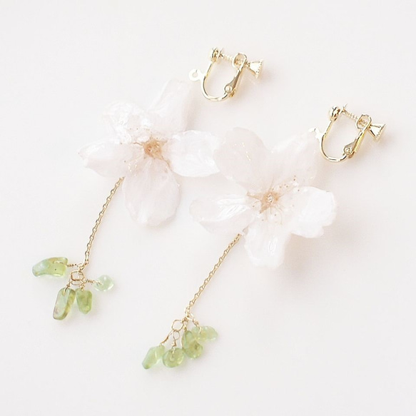 【再次上架】Everpink Sakura.16kgf。真花櫻花和橄欖石葉櫻桃耳環/耳環 第2張的照片