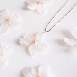 【再次上架】Everpink Sakura。真正的花櫻桃球鏈項鍊/長項鍊/吊墜 第2張的照片