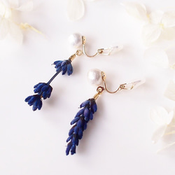 【再販・受注製作】Lavender. 本物のお花　香るラベンダーとコットンパールのそよ風クリップイヤリング 4枚目の画像