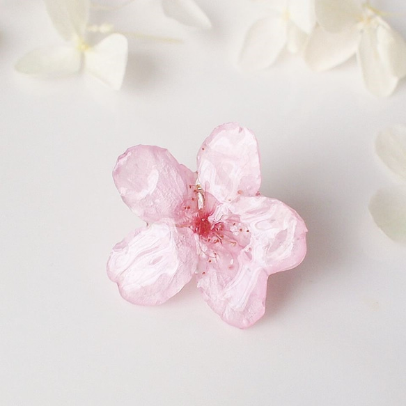 Early Bloom. 本物のお花　早咲き桜とパールのタックピン/ピンブローチ/ハットピン/スカーフ留め/コサージュ　 2枚目の画像