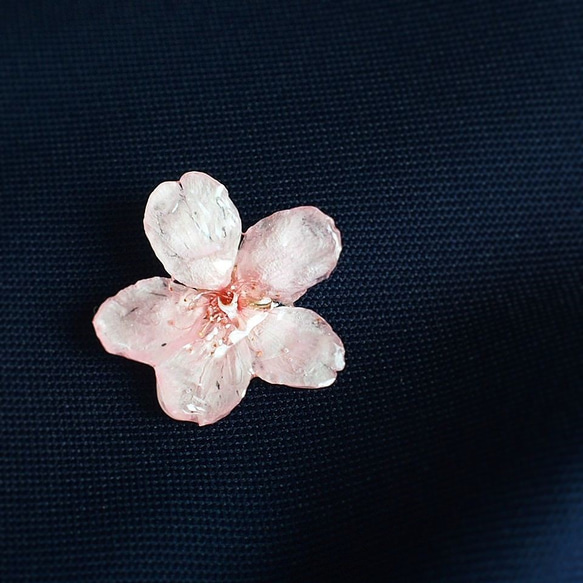 Early Bloom. 本物のお花　早咲き桜とパールのタックピン/ピンブローチ/ハットピン/スカーフ留め/コサージュ　 3枚目の画像
