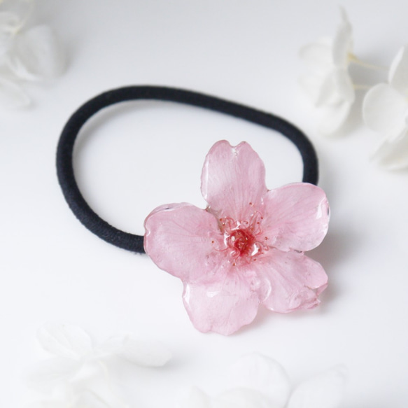 【受注制作】Early Bloom. 本物のお花　桜の髪飾り/ヘアゴム　早咲きピンク　プリザーブドフラワー　 3枚目の画像