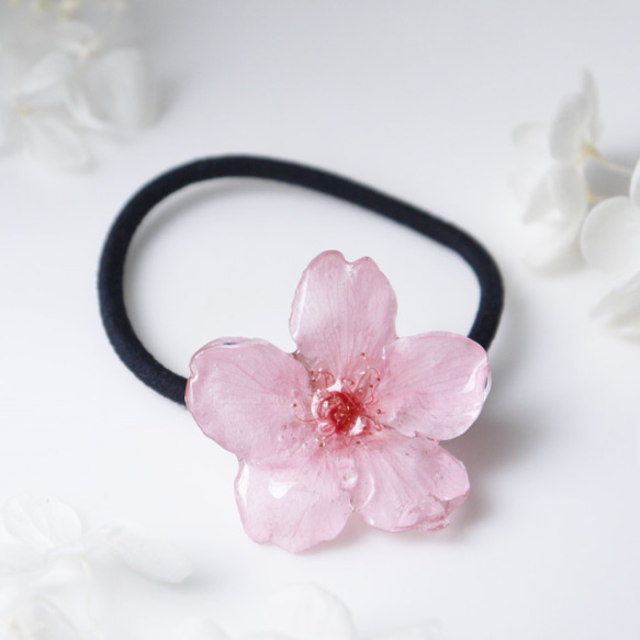 【受注制作】Early Bloom. 本物のお花　桜の髪飾り/ヘアゴム　早咲きピンク　プリザーブドフラワー　 6枚目の画像