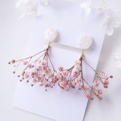 【受注制作】Everpink Sakura. 本物のお花　桜の花びらとかすみ草のピンクブーケイヤリング　ソメイヨシノ 1枚目の画像