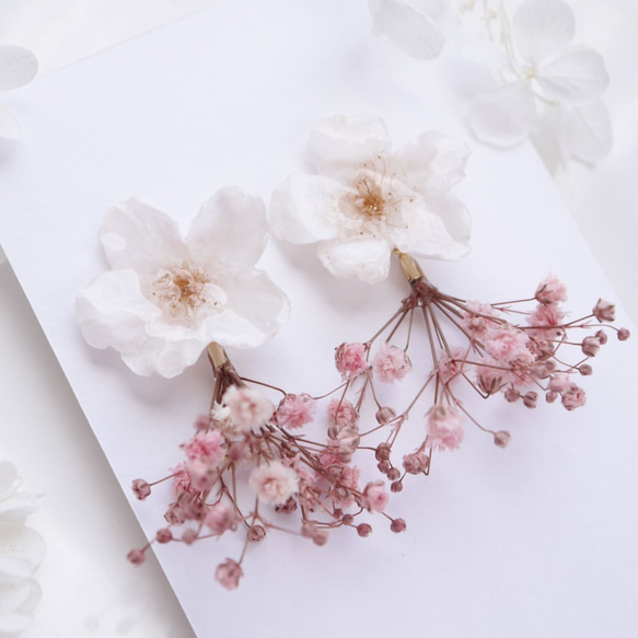 Everpink Sakura. 本物のお花　桜とかすみ草のピンクブーケ　スタッド揺れピアス　ソメイヨシノ　花束 1枚目の画像
