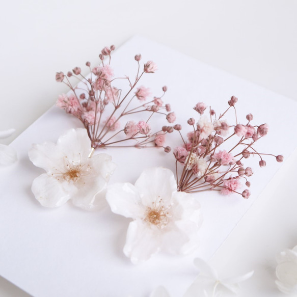 Everpink Sakura. 本物のお花　桜とかすみ草のピンクブーケ　スタッド揺れピアス　ソメイヨシノ　花束 2枚目の画像