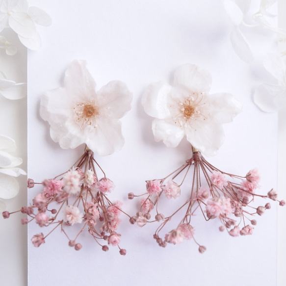 Everpink Sakura. 本物のお花　桜とかすみ草のピンクブーケ　スタッド揺れピアス　ソメイヨシノ　花束 4枚目の画像