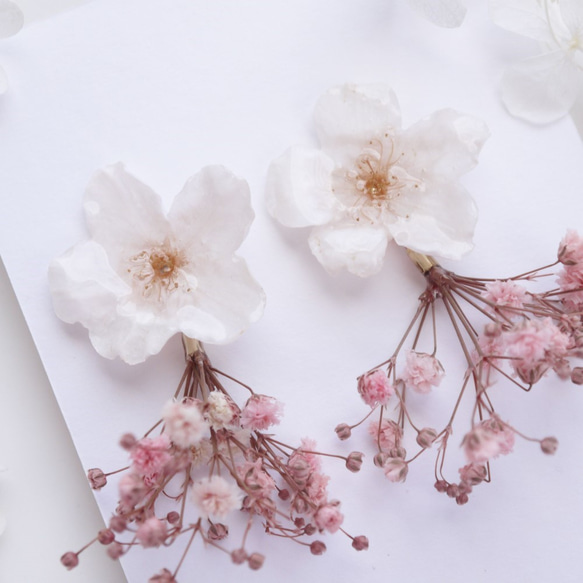 Everpink Sakura. 本物のお花　桜とかすみ草のピンクブーケ　スタッド揺れピアス　ソメイヨシノ　花束 9枚目の画像