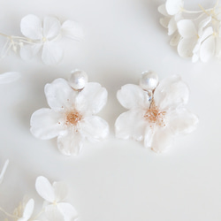 【受注制作】Everpink Sakura. 本物のお花　桜とコットンパールのイヤリング　プリザーブドフラワー 2枚目の画像