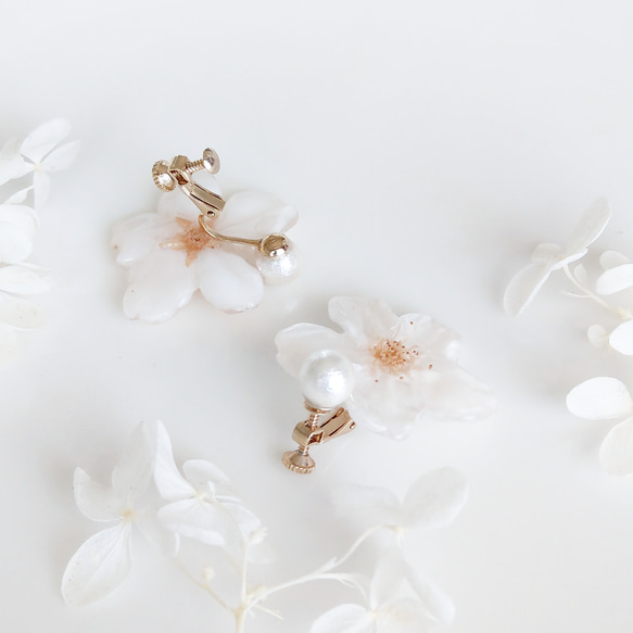【受注制作】Everpink Sakura. 本物のお花　桜とコットンパールのイヤリング　プリザーブドフラワー 6枚目の画像