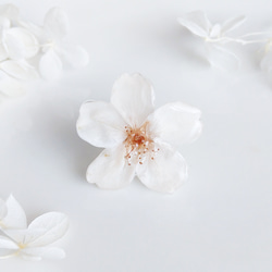 【再販】Everpink Sakura. 本物のお花　桜のリング　11号フリー/指輪　ソメイヨシノ　プリザーブドフラワー 6枚目の画像