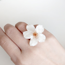 【再販】Everpink Sakura. 本物のお花　桜のリング　11号フリー/指輪　ソメイヨシノ　プリザーブドフラワー 8枚目の画像