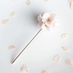 【受注制作】Everpink Sakura.　本物のお花　満開桜の玉かんざし　コットンパール　8輪使用 5枚目の画像