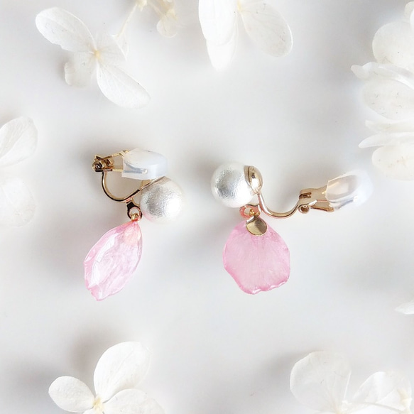 Early Bloom. 本物のお花　早咲き桜の花びらとコットンパールの揺れるクリップイヤリング　透けピンク 6枚目の画像