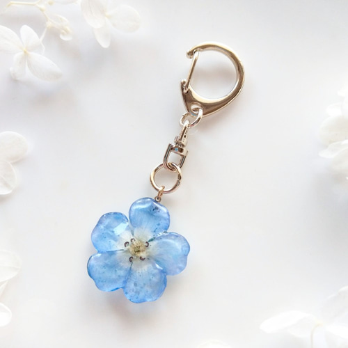 受注制作】Baby blue eyes. 本物のお花 ネモフィラのドライフラワーの