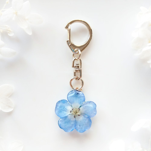 受注制作】Baby blue eyes. 本物のお花 ネモフィラのドライフラワーの