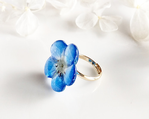 1_64267711ba0bf7d1958029d1744b