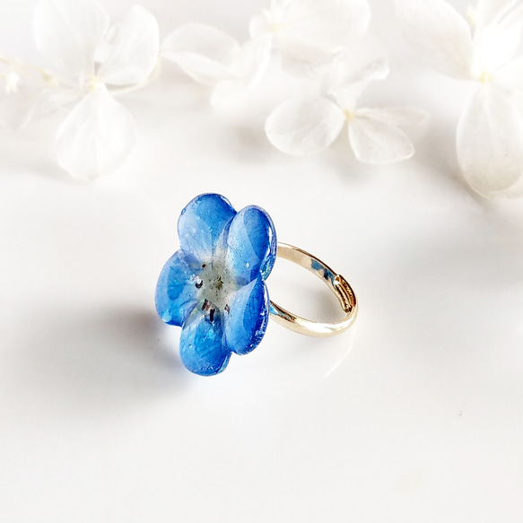 限定】Baby blue eyes. 本物のお花 小さなネモフィラのピンキーリング
