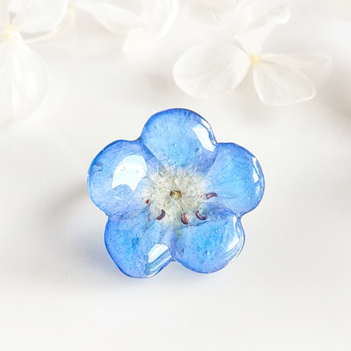 限定】Baby blue eyes. 本物のお花 小さなネモフィラのピンキーリング