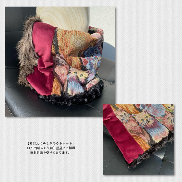 很多貓♡Eco Furneck Warmer Ver.1 /波爾多 第7張的照片