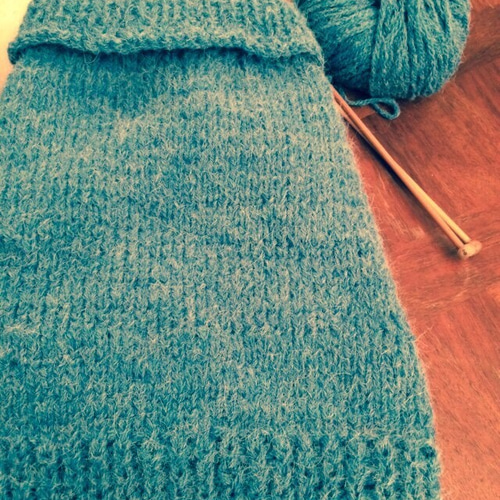 小型犬用の手編みセーター 青/水色 シュナウザー ペット服