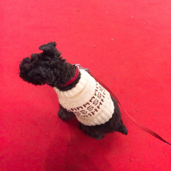 ワンちゃんセーターハンドメイド 小型犬用編み込みセーター☆ターコイズ☆ハート模様☆ペット