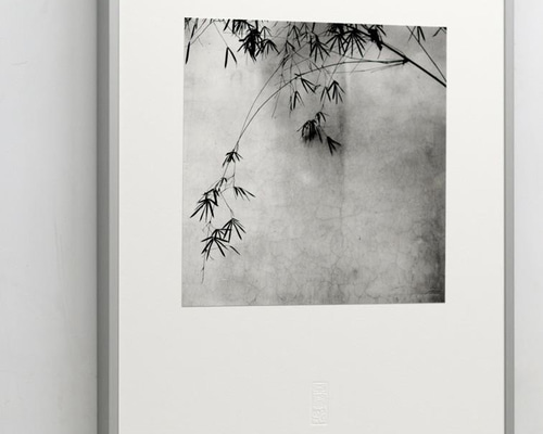 0_8d0c4aa677557e3ff845b6449e1a