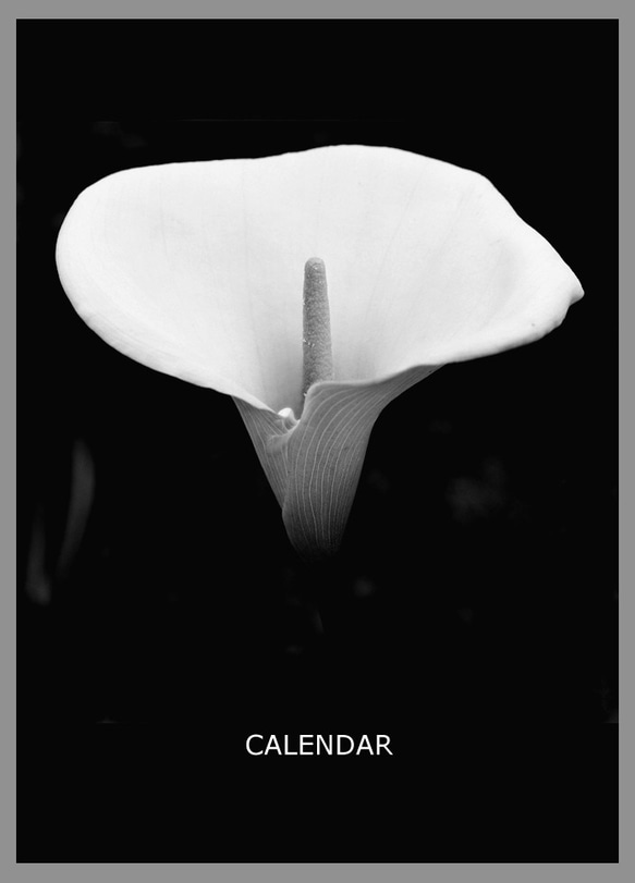 黑白風景攝影桌曆(無年份)｜年曆｜月曆 第1張的照片