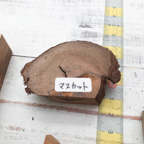 ◍14種14個『ゴロゴロset＋メープルメープル』送料込：色々樹種・木材端材セット 日本の木 世界の木 ss_21005 6枚目の画像