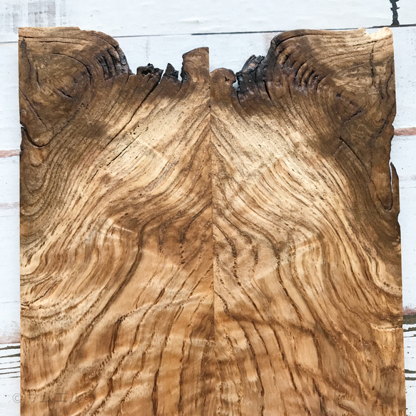 ▤きのかたち／ coaster「杢入り梻（たも）の犬耳コースター」│インテリア 無垢材 木 木材 花台 飾り台 床の間 6枚目の画像