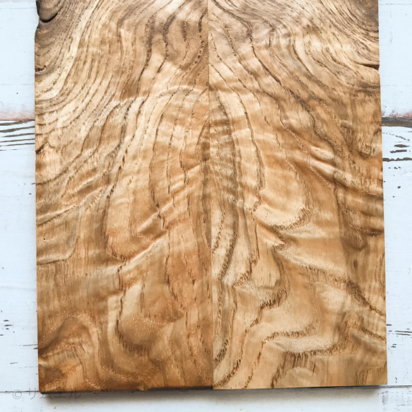 ▤きのかたち／ coaster「杢入り梻（たも）の犬耳コースター」│インテリア 無垢材 木 木材 花台 飾り台 床の間 8枚目の画像