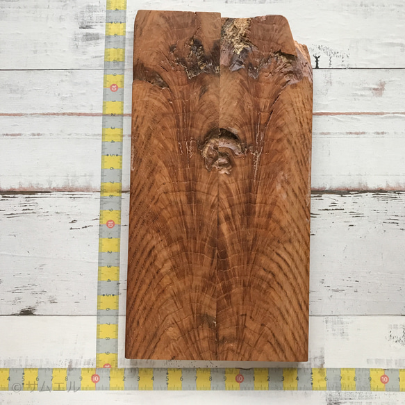 ▤きのかたち／ coaster「どっしり楢（なら）のコースター」│インテリア 無垢材 木 木材 花台 飾り台 床の間 木 3枚目の画像