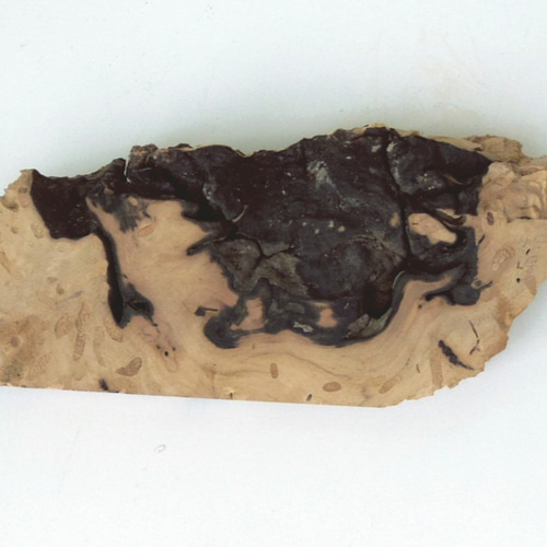 黒柿   (厚み0・4cm)    縦59cm 97a96a18be182267b0c525b34bdd75