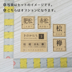 ▦きのかたち／cube「身近にある木たち（あ）：杉、桧、檜葉、栴檀」│インテリア 無垢材 標本 キューブ 立体 7枚目の画像