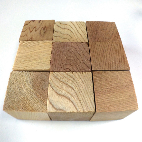 ▦きのかたち／cube「幻想の木たち（に）：屋久杉、タララ」│インテリア 無垢材 標本 キューブ 立体 4枚目の画像
