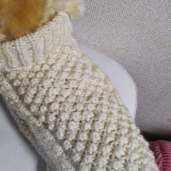 【犬用セーター】Ｍサイズトリニティステッチの素敵なニットです 1枚目の画像