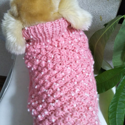【犬用セーター】Mサイズとてもかわいいピンクのニットです! 3枚目の画像